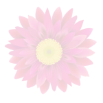 blomma2